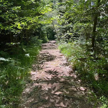 Apartma Godeti Apartment