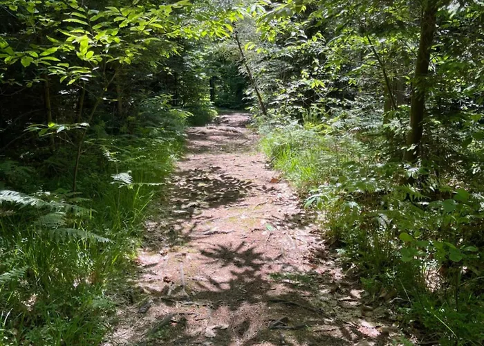 Apartma Godeti Appartement